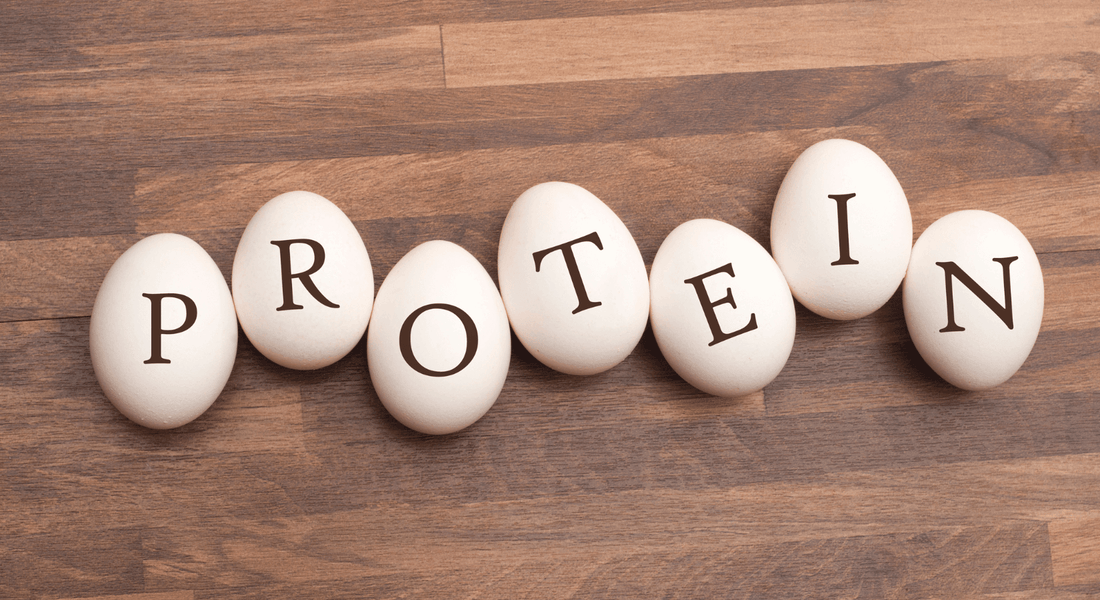 תזונה נכונה וחלבונים